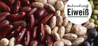 Eiweiss Zu Viel Protein Schadet Den Nieren Utopia De