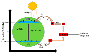 Lihat profil profesional mohd talib mohd salim(malaysia) di linkedin. Advances And Challenges In Developing Efficient Graphene Oxide Based Zno Photocatalysts For Dye Photo Oxidation Abstract Europe Pmc
