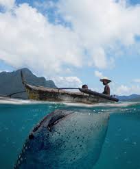 Hamparan pasir pantai, deburan ombak, burung yang terbang di sekitar pantai, serta panorama sunset dan sunrise merupakan contoh konkrit dari pemandangan laut. 19 Destinasi Wisata Alam Di Papua Yang Tak Kalah Indah Dari Raja Ampat