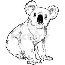 Black And White Realistic Koala Bear Vector Clipart Bear Vector Vector Clipart Koala Bear