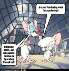 Pinky And The Brain Twilight Narf Jpg Intj Myers Briggs Personality Types Intj Personality