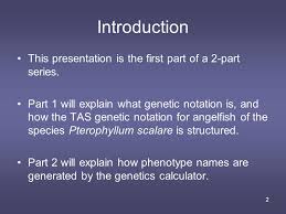 1 Tas Angelfish Naming Conventions Part 1 Genetic Notation