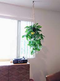 Boho Twisted Macrame Plant Hanger Hanging Plant Holder Apartment Living Room Style Porch Planters Boho Living Room Apartment Living Room Hanging Plants