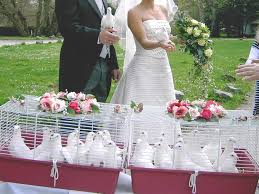 Damit dieser tag ein besonderes erlebnis für sie und ihre gäste wird, runden wir es. Hochzeitstauben In Munchen