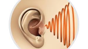 Image result for Tinnitus