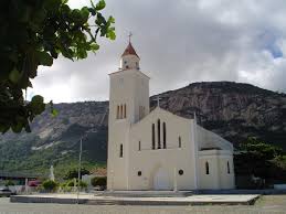 Resultado de imagem para patu