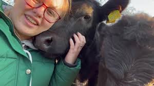 Cow Cuddling Brisbane