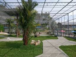 Di sini juga terdapat pertunjukan, wahana permainan, dan beberapa area yang menerapkan tiket terpisah. Wisata Baru Central Park Zoo And Resort Di Pancur Batu Medan Wisata Travel Blogger Indonesia From Medan