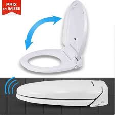 Voici les 5 étapes à suivre pour changer une lunette de wc en quelques minutes. Lunette De Wc Clipsable Personalisable Tectake Abattant Wc De Toilette Cuvette Siege Lunette 3d Vente En Ligne De Kits Personnalisables Perpustakaan Umum