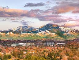 Walnut Creek Commercial Real Estate Cbre