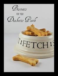 Ingredients of homemade food for diabetic dog. 30 Diabetic Dog Recipes Ideas Diabetic Dog Dog Recipes Dog Food Recipes