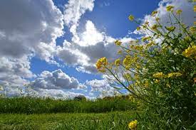 However, discretionary income is very comparable with the rest of the country. Photos First Day Of Spring Arrives In Bay Area The Mercury News