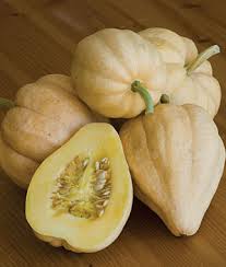 Plant in hills, 4 ft. Squash Thelma Sanders Sweet Potato Garden Seeds And Plants
