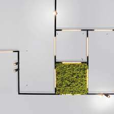 Breakthroughs in technology for performance, decorative and architectural lighting. Alphabet Scripting Light Alphabetlights Com