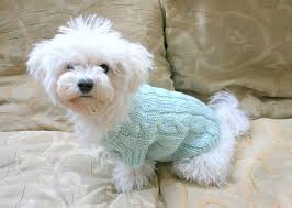 Dog Clothes Knitted Dog Sweater Cotton Dog Sweater Handmade Dog Clothes Bichon Clothes Clothes For Dogs B Small Dog Clothes Knit Dog Sweater Pet Clothes