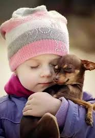 Fotograf Animals Cute Animals Animals For Kids