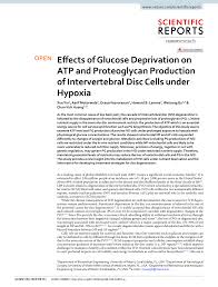The moment this bug detects the rf transmission signal from an activated cell phone, the led light started blinking, and it starts making a beep alarm. Pdf Effects Of Glucose Deprivation On Atp And Proteoglycan Production Of Intervertebral Disc Cells Under Hypoxia