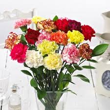 For same day flower delivery in uk, you can choose between local florists and online florists offering same day delivery. Cheap Flower Bouquets Under 20 With Next Day Delivery Valueflora