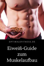 Der Kleine Eiweiss Guide Zum Muskelaufbau Muskelaufbau Muskelaufbau Fettabbau Training Ernahrung