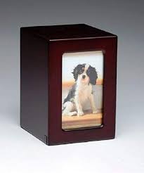 A collection of cat cremation urns to memorialize your pet with. Amazon Com Pet Urn Peaceful Pet Memorial Keepsake Urn Photo Box Pet Cremation Urn Dog Urn Cat Urn Small Animal Urn Size Medium Color Cherry 40 Cu In Pet Supplies