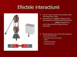 Efectele indirecte ale mediului sunt reflectate in schimbarea caracterului genotipic care nu sunt previzibile din punctul de vedere al interactiunii. Ppt Marul Lui Newton Powerpoint Presentation Free Download Id 1441717