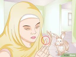 If you put her out side you will probably see her digging. 3 Ways To Calm A Vicious Rabbit Wikihow