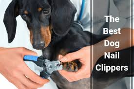 How to pick a file cabinet lock with nail clippers. The Best Dog Nail Clippers 2 Options Therapy Pet