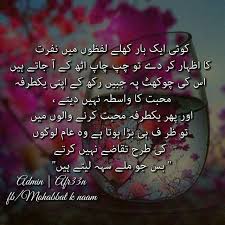 Wafa Nov 9 2017 Urdu Words Unspoken Words Quotes From Novels
