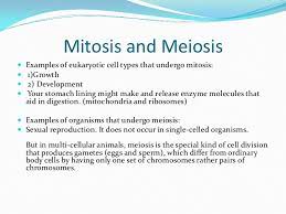 We did not find results for: Cell Reproduction Sunday