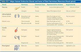 Pin By D Beck Baylis On Nursing Student Endocrine Math Study Guide Anatomy And Physiology