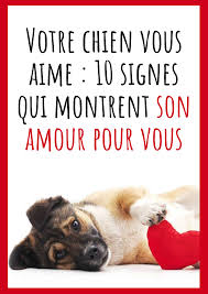 Votre Chien Vous Aime 10 Signes Qui Montrent Son Amour Pour Vous Activites Pour Chien Chien Chiot Heureux