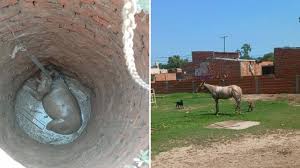 Necrologicas Archives