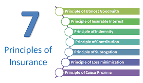 The trial court determined that the action was barred by the two year statute of limitations for equitable contribution. 7 Principles Of Insurance Which Every Investor Should Know