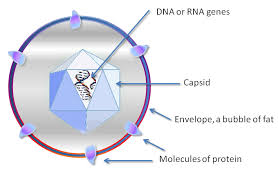 Pin On Virus Free Futures