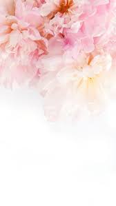 If you're looking for the best pink flowers background then wallpapertag is the place to be. Pin On Wallpapers