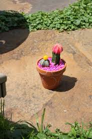 The first sentence contains a direct quote, a quote in which you report the exact words john used. Repotting Cacti Gardening Greens Other Things