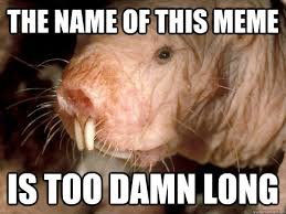 The Name Of This Meme Is Too Damn Long Irritated And Phallic Naked Mole Rat Who Says Something Similar To Another Advice Animal Quickmeme