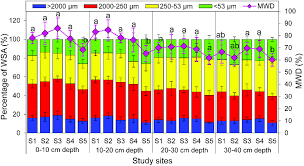 The Percentage Of Water Stable Aggregates Wsa Bar Chart