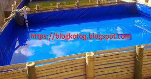 Budidaya Ikan Nila Dalam Kolam Terpal Blog Go Blog