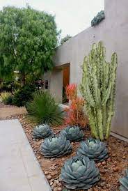 Cacti and succulents are the best plants for landscaping. Cactus Gardens 47 Amazing Ideas On How To Make One My Desired Home Succulent Landscape Design Xeriscape Front Yard Cactus Garden Landscaping