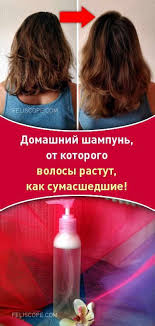 как отрастить длинные волосы за неделю в домашних условиях Domashnij Shampun Ot Kotorogo Volosy Rastut Kak Sumasshedshie Volosy Shampun Rost Dlinnye Zdorovye Bystro Otra Natural Shampoo Hair Beauty Beauty Recipe