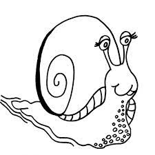 Disegno Lumaca Da Colorare Disegno Chiocciola Da Colorare