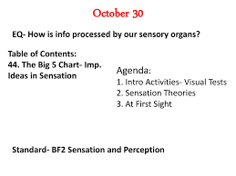 October 28 2013 Eq How Is Information From Our Sensory