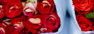 When you are searching for promo codes for ifly, you are guaranteed to receive the most current and useful promotion deals and discounts.we. Florists In Tampa For Mother S Day