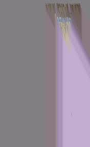 Standardization activities of national technical and trade organizations