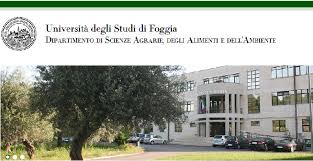 In generale le materie appartengono alle aree della biochimica, della nutrizione umana e delle tecniche agroalimentari. Unifg Nuovo Corso Di Laurea In Scienze Tecnologiche Degli Alimenti E Della Nutrizione Umana Civico93 Be Original