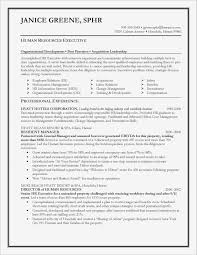 Easy Ways To Write Your Resume Summary Statement Human Resources Resume Resume Objective Examples Resume Examples