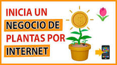 🌱💰 ¿Plantas en Internet? Descubre si es NEGOCIO y cómo EMPEZAR 🔥