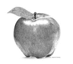 Pin By Tkg On Woodburning Still Life Drawing Drawing Apple Pencil Drawings Google unveils new pixel phones, a new chromecast, and other products during its virtual launch event.