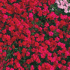 Pin On Landscapes